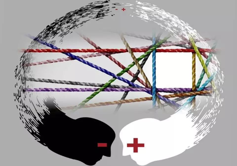 Polarizzazione e diversità riconciliata